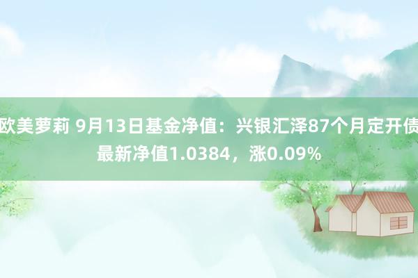 欧美萝莉 9月13日基金净值：兴银汇泽87个月定开债最新净值1.0384，涨0.09%