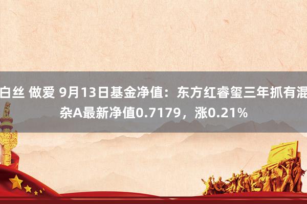 白丝 做爱 9月13日基金净值：东方红睿玺三年抓有混杂A最新净值0.7179，涨0.21%