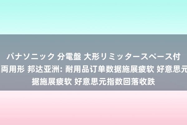 パナソニック 分電盤 大形リミッタースペース付 露出・半埋込両用形 邦达亚洲: 耐用品订单数据施展疲软 好意思元指数回落收跌