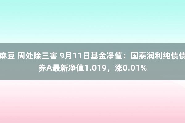 麻豆 周处除三害 9月11日基金净值：国泰润利纯债债券A最新净值1.019，涨0.01%