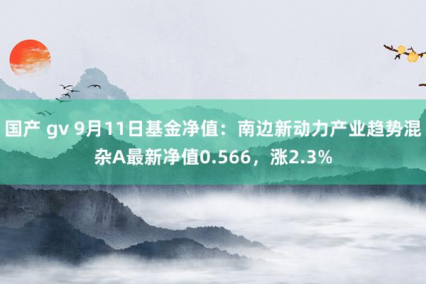 国产 gv 9月11日基金净值：南边新动力产业趋势混杂A最新净值0.566，涨2.3%