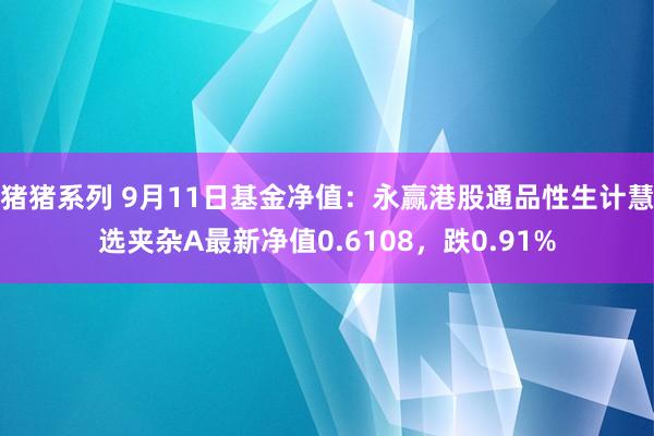 猪猪系列 9月11日基金净值：永赢港股通品性生计慧选夹杂A最新净值0.6108，跌0.91%