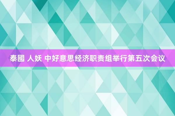 泰國 人妖 中好意思经济职责组举行第五次会议