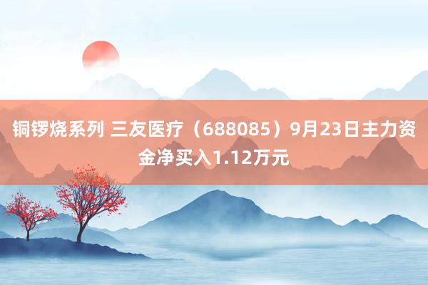 铜锣烧系列 三友医疗（688085）9月23日主力资金净买入1.12万元