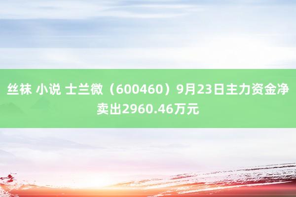 丝袜 小说 士兰微（600460）9月23日主力资金净卖出2960.46万元