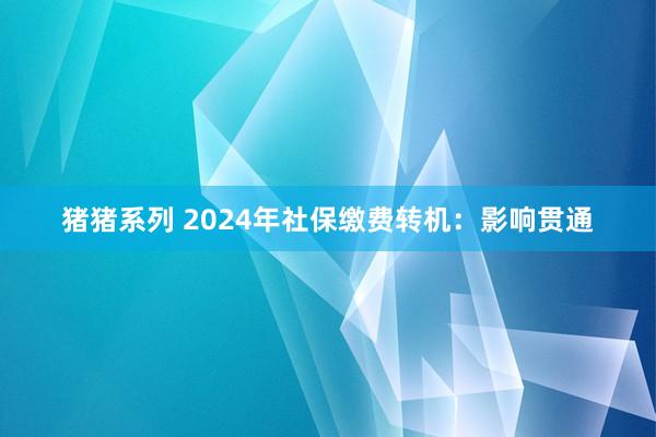 猪猪系列 2024年社保缴费转机：影响贯通