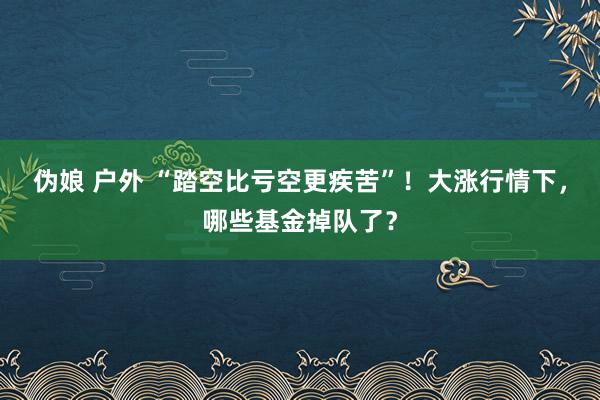 伪娘 户外 “踏空比亏空更疾苦”！大涨行情下，哪些基金掉队了？