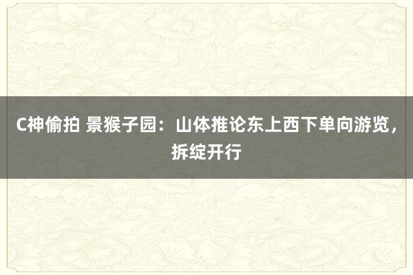 C神偷拍 景猴子园：山体推论东上西下单向游览，拆绽开行