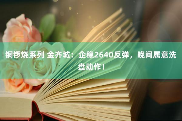 铜锣烧系列 金齐城：企稳2640反弹，晚间属意洗盘动作！