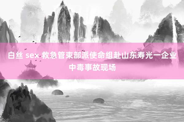 白丝 sex 救急管束部派使命组赴山东寿光一企业中毒事故现场