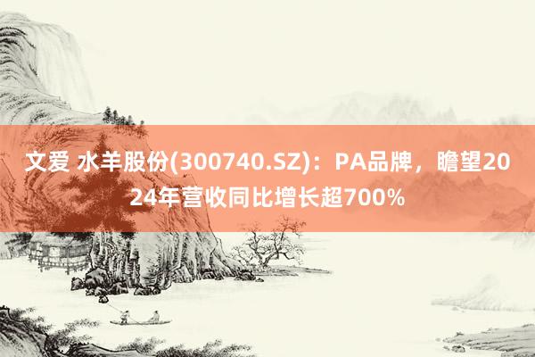 文爱 水羊股份(300740.SZ)：PA品牌，瞻望2024年营收同比增长超700%