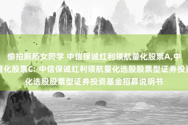 偷拍厕所女同学 中信保诚红利领航量化股票A，中信保诚红利领航量化股票C: 中信保诚红利领航量化选股股票型证券投资基金招募说明书