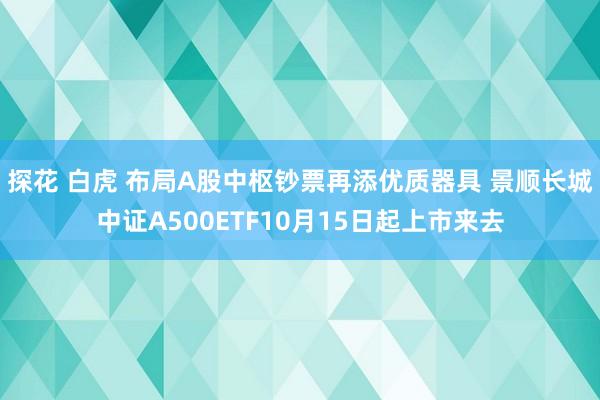 探花 白虎 布局A股中枢钞票再添优质器具 景顺长城中证A500ETF10月15日起上市来去