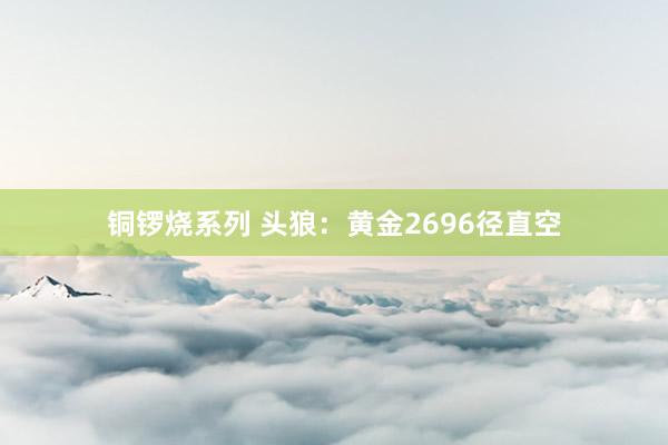 铜锣烧系列 头狼：黄金2696径直空