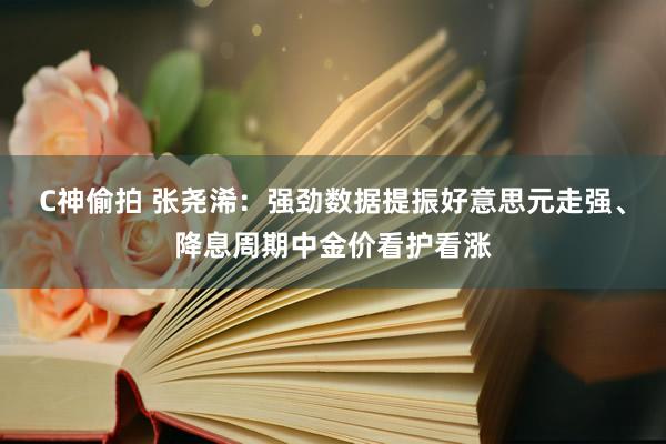 C神偷拍 张尧浠：强劲数据提振好意思元走强、降息周期中金价看护看涨