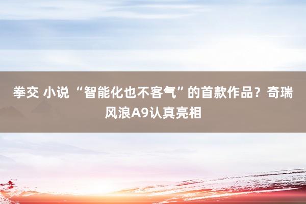 拳交 小说 “智能化也不客气”的首款作品？奇瑞风浪A9认真亮相