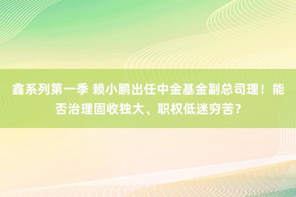 鑫系列第一季 赖小鹏出任中金基金副总司理！能否治理固收独大、职权低迷穷苦？