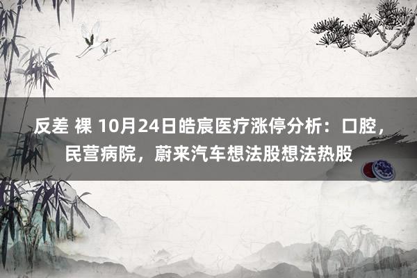 反差 裸 10月24日皓宸医疗涨停分析：口腔，民营病院，蔚来汽车想法股想法热股