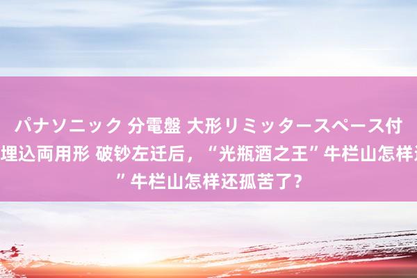 パナソニック 分電盤 大形リミッタースペース付 露出・半埋込両用形 破钞左迁后，“光瓶酒之王”牛栏山怎样还孤苦了？