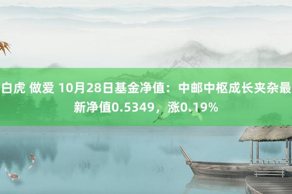 白虎 做爱 10月28日基金净值：中邮中枢成长夹杂最新净值0.5349，涨0.19%