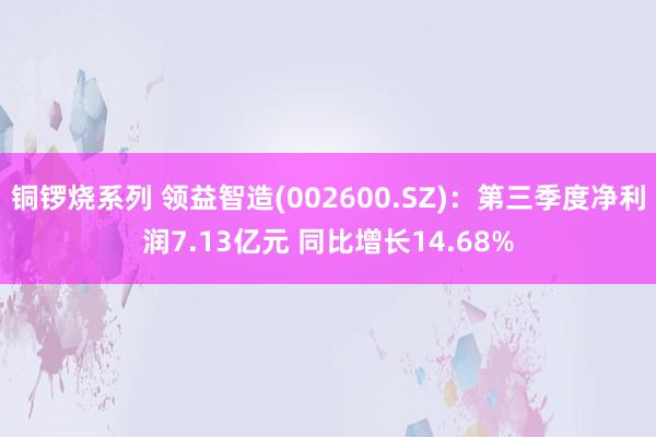 铜锣烧系列 领益智造(002600.SZ)：第三季度净利润7.13亿元 同比增长14.68%