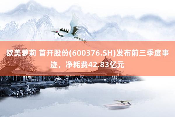 欧美萝莉 首开股份(600376.SH)发布前三季度事迹，净耗费42.83亿元