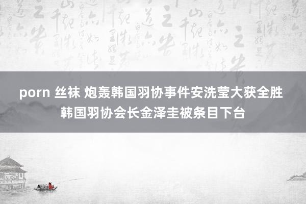 porn 丝袜 炮轰韩国羽协事件安洗莹大获全胜 韩国羽协会长金泽圭被条目下台