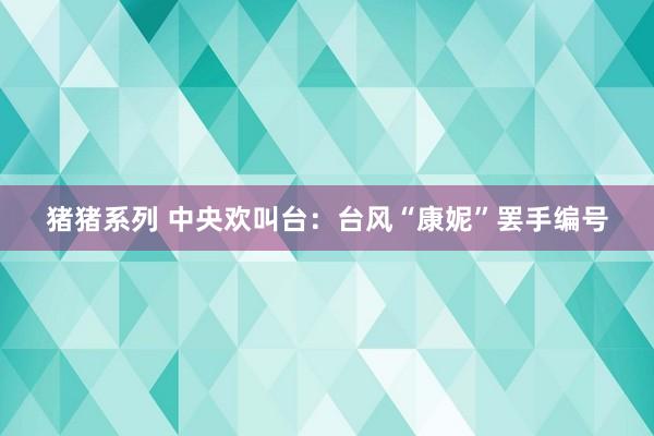 猪猪系列 中央欢叫台：台风“康妮”罢手编号