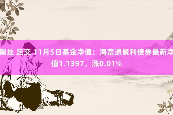 黑丝 足交 11月5日基金净值：海富通聚利债券最新净值1.1397，涨0.01%