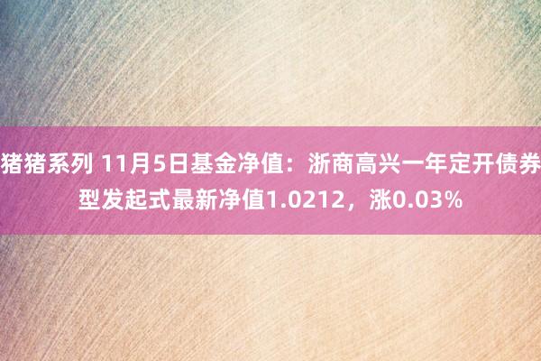 猪猪系列 11月5日基金净值：浙商高兴一年定开债券型发起式最新净值1.0212，涨0.03%