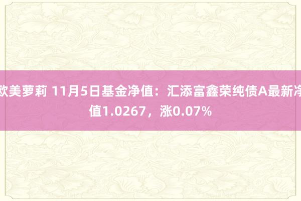 欧美萝莉 11月5日基金净值：汇添富鑫荣纯债A最新净值1.0267，涨0.07%