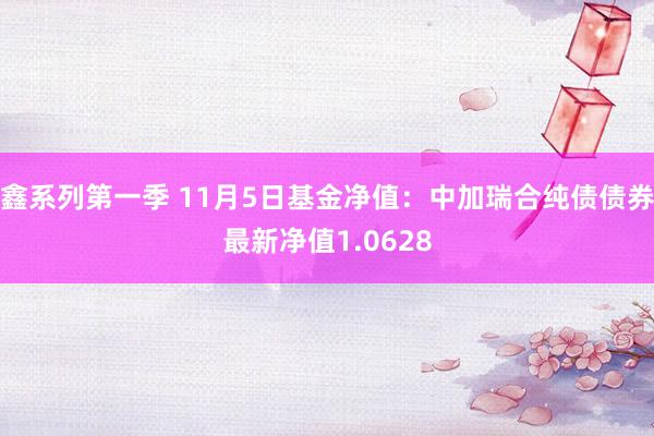 鑫系列第一季 11月5日基金净值：中加瑞合纯债债券最新净值1.0628