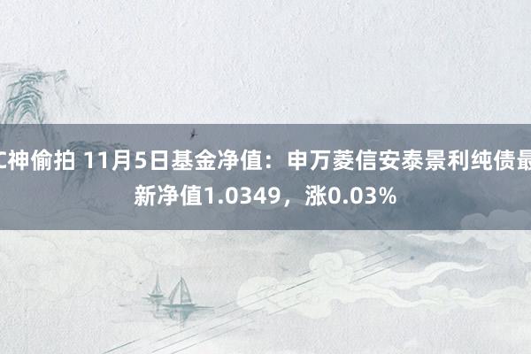 C神偷拍 11月5日基金净值：申万菱信安泰景利纯债最新净值1.0349，涨0.03%