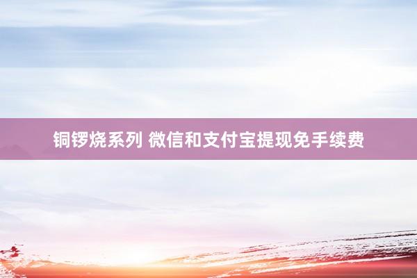 铜锣烧系列 微信和支付宝提现免手续费