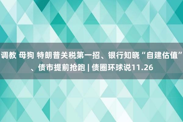 调教 母狗 特朗普关税第一招、银行知晓“自建估值”、债市提前抢跑 | 债圈环球说11.26