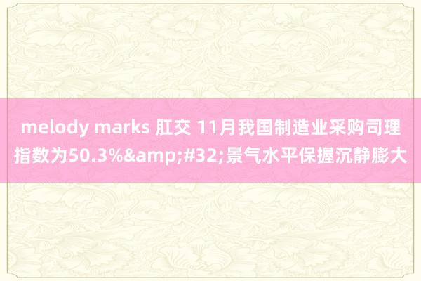 melody marks 肛交 11月我国制造业采购司理指数为50.3%&#32;景气水平保握沉静膨大