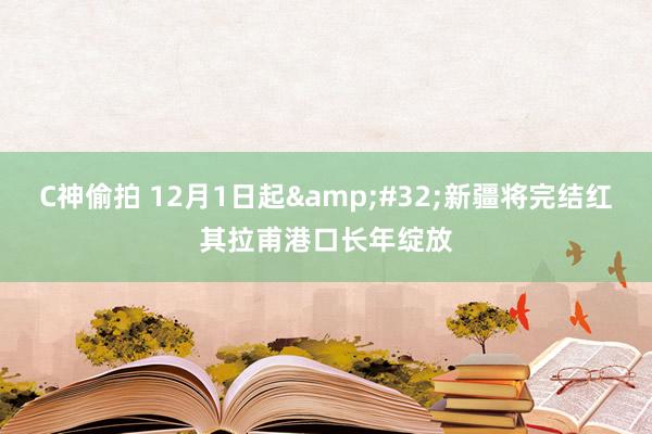 C神偷拍 12月1日起&#32;新疆将完结红其拉甫港口长年绽放