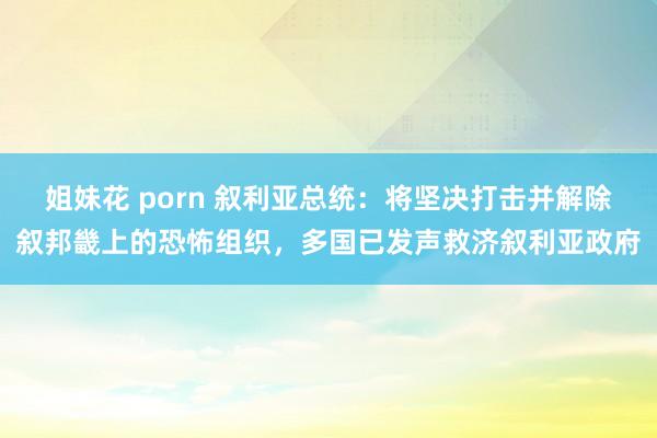 姐妹花 porn 叙利亚总统：将坚决打击并解除叙邦畿上的恐怖组织，多国已发声救济叙利亚政府