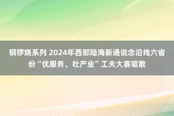 铜锣烧系列 2024年西部陆海新通说念沿线六省份“优服务、壮产业”工夫大赛驱散