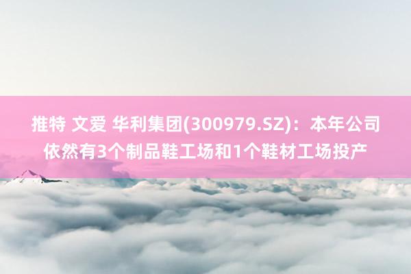 推特 文爱 华利集团(300979.SZ)：本年公司依然有3个制品鞋工场和1个鞋材工场投产