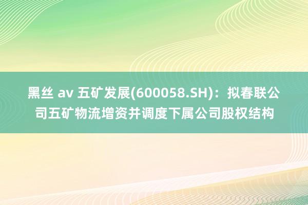 黑丝 av 五矿发展(600058.SH)：拟春联公司五矿物流增资并调度下属公司股权结构