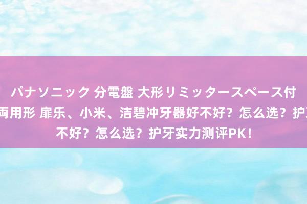 パナソニック 分電盤 大形リミッタースペース付 露出・半埋込両用形 扉乐、小米、洁碧冲牙器好不好？怎么选？护牙实力测评PK！