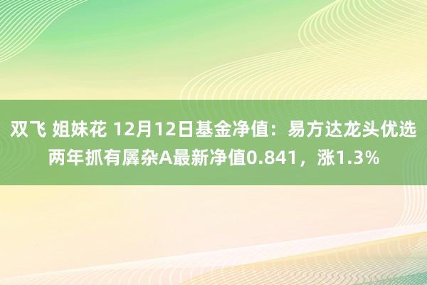 双飞 姐妹花 12月12日基金净值：易方达龙头优选两年抓有羼杂A最新净值0.841，涨1.3%