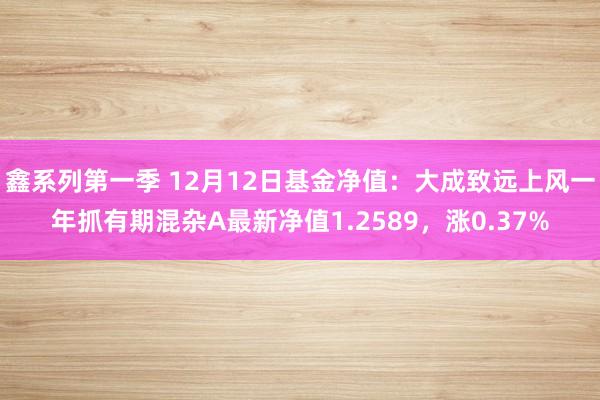 鑫系列第一季 12月12日基金净值：大成致远上风一年抓有期混杂A最新净值1.2589，涨0.37%