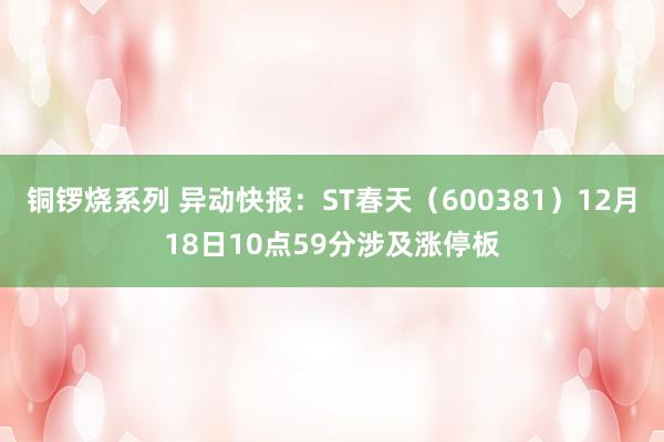 铜锣烧系列 异动快报：ST春天（600381）12月18日10点59分涉及涨停板