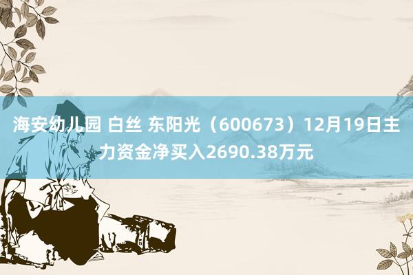 海安幼儿园 白丝 东阳光（600673）12月19日主力资金净买入2690.38万元