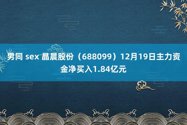 男同 sex 晶晨股份（688099）12月19日主力资金净买入1.84亿元