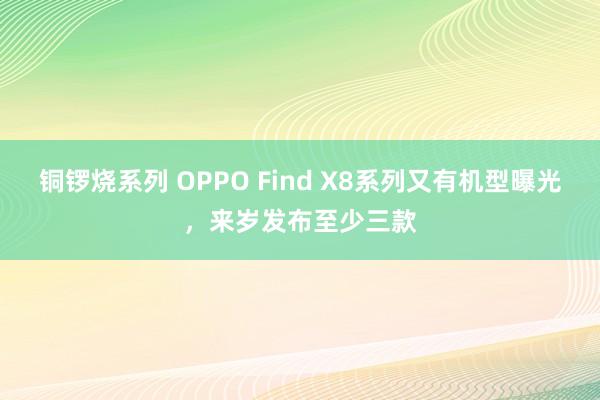 铜锣烧系列 OPPO Find X8系列又有机型曝光，来岁发布至少三款