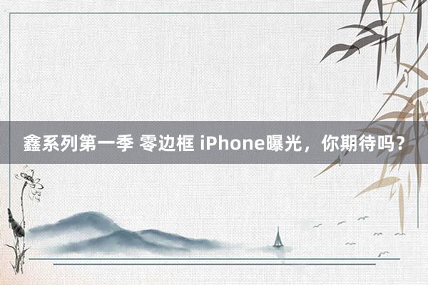 鑫系列第一季 零边框 iPhone曝光，你期待吗？