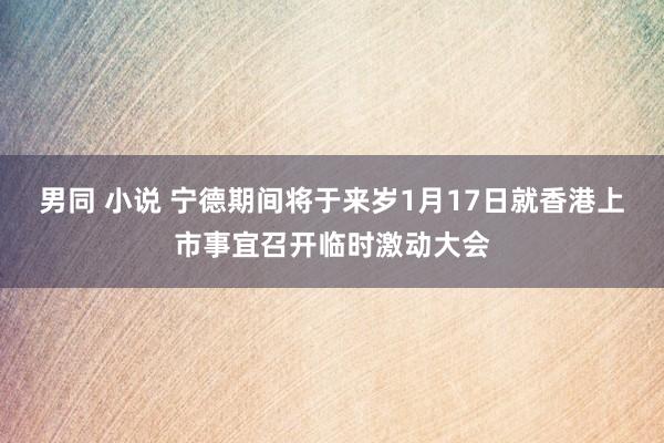 男同 小说 宁德期间将于来岁1月17日就香港上市事宜召开临时激动大会